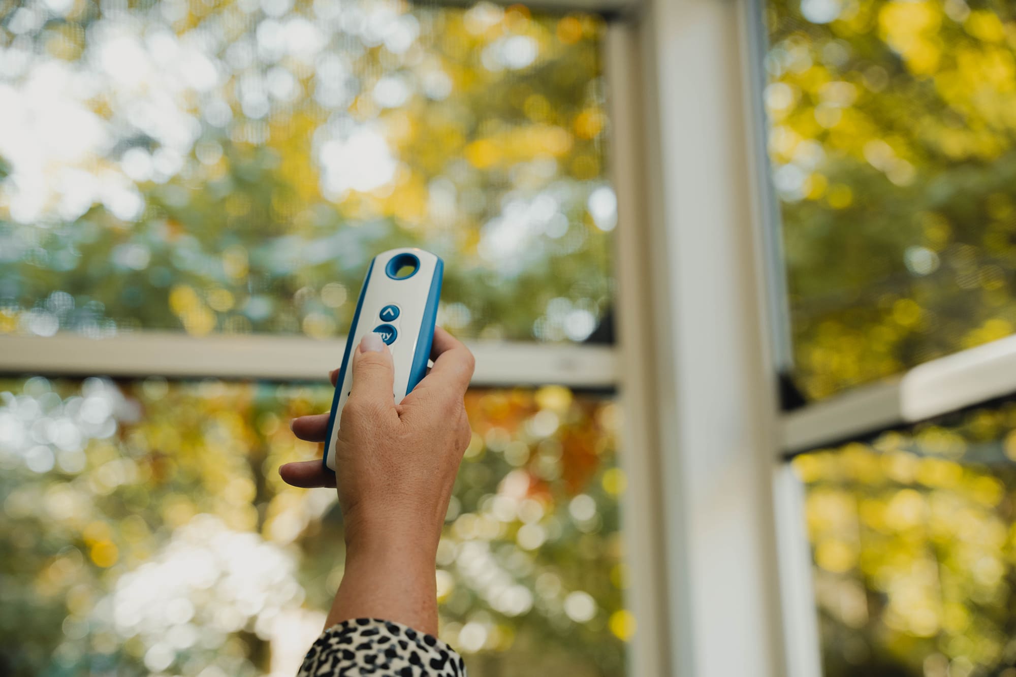 Motorized screens with somfy remote