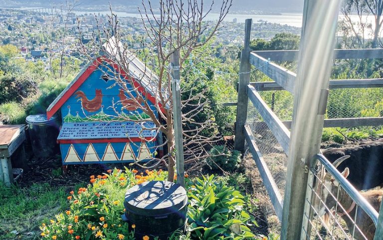 Designing a Fruit Tree Guild