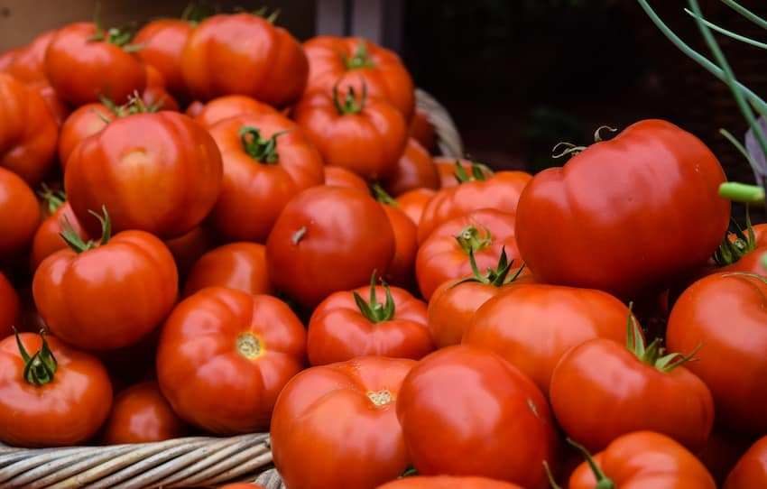How To Save Tomato Seeds