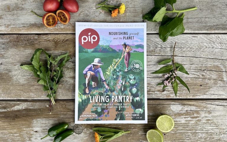 Pip’s Issue 32 is packed full of inspiration and information to start the new season on the front foot.